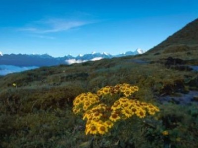 Pikey Peak trek In Summer/Monsoon