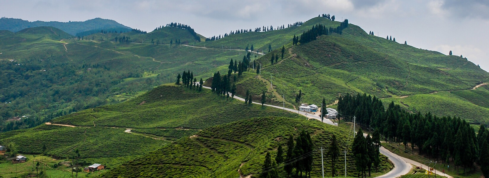 Illam tour